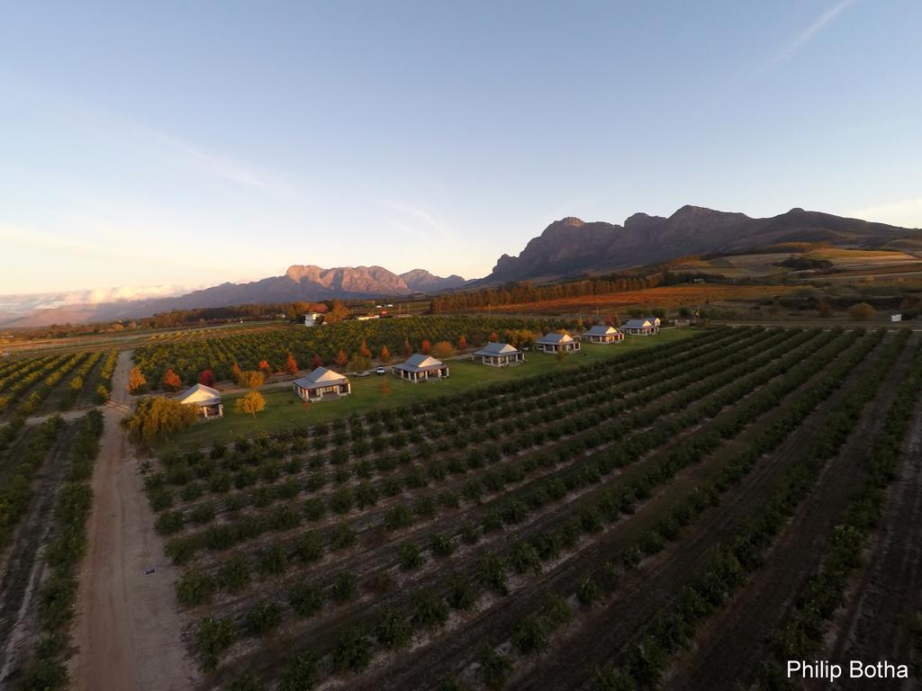 Paddabult Self Catering Cottages Paarl Dış mekan fotoğraf