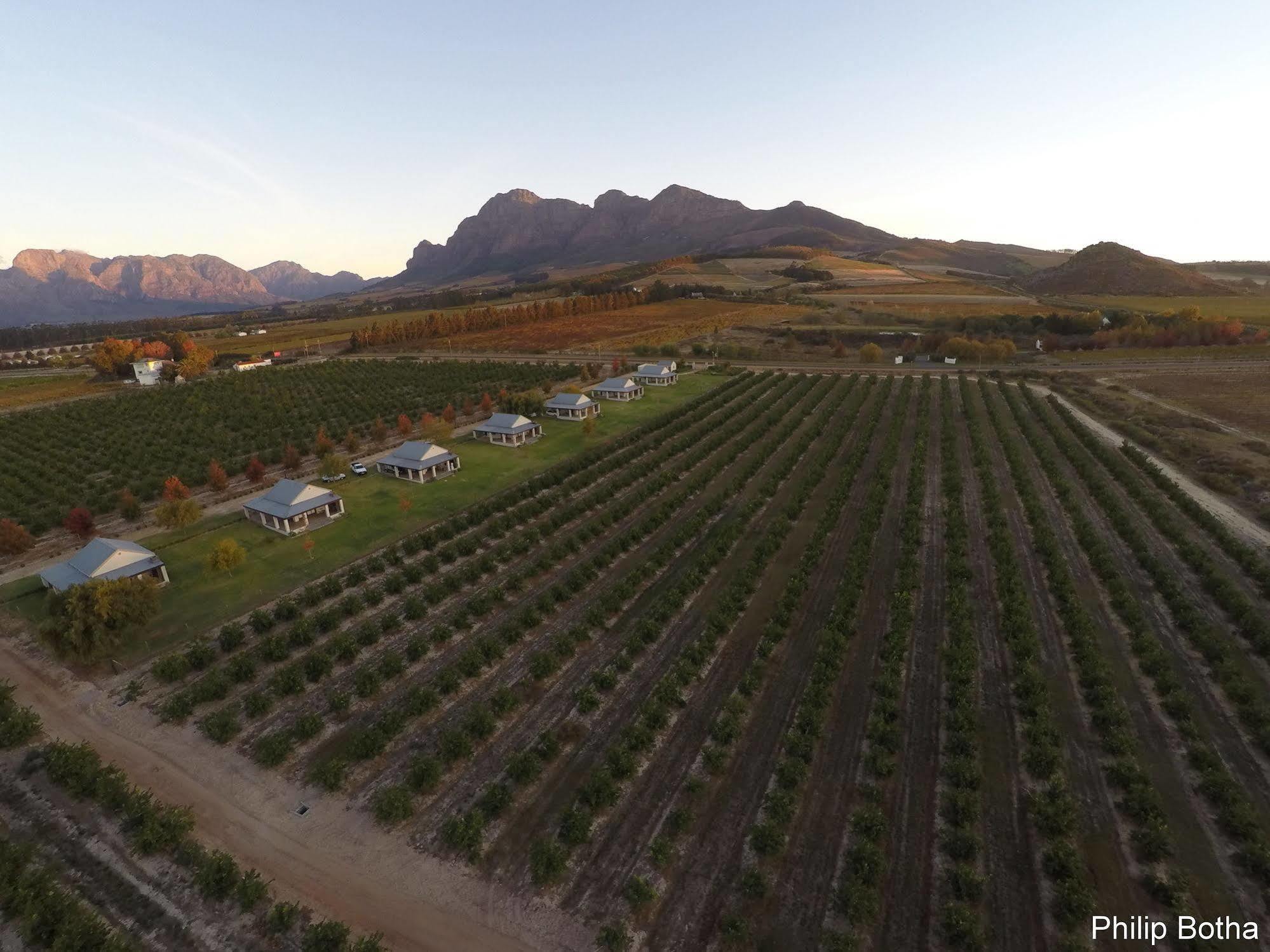 Paddabult Self Catering Cottages Paarl Dış mekan fotoğraf